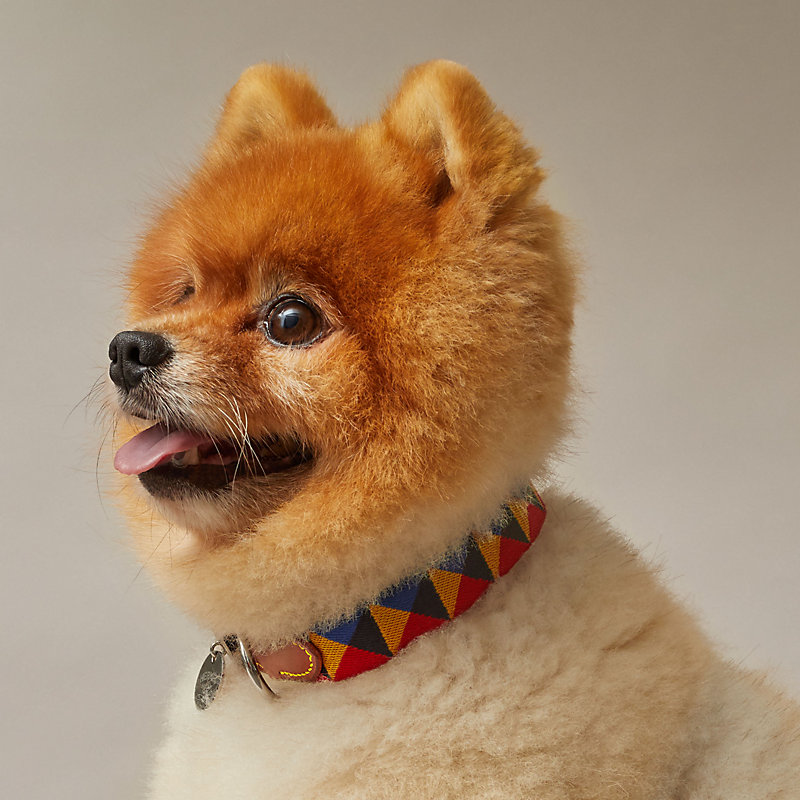 犬用首輪 《メドールII》 パイユ | Hermès - エルメス-公式サイト
