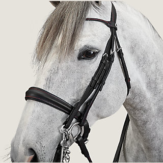 馬場用大勒-エルゴノミック--